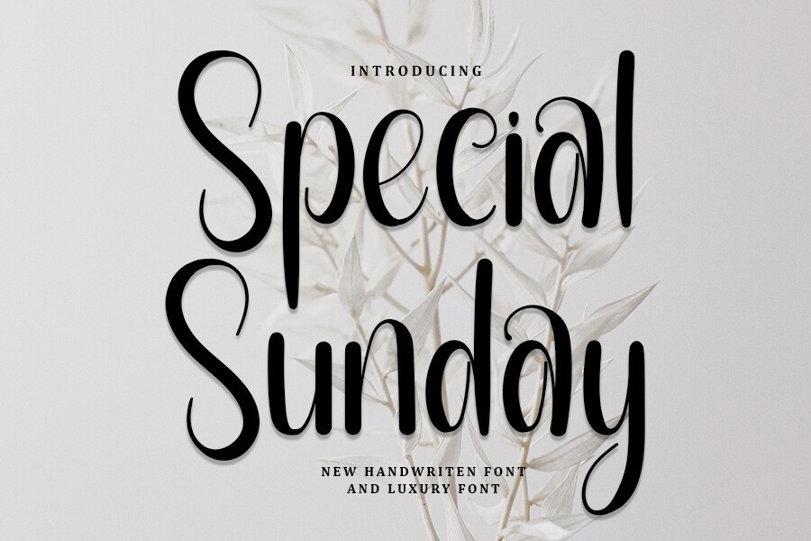 Special Sunday Font preview