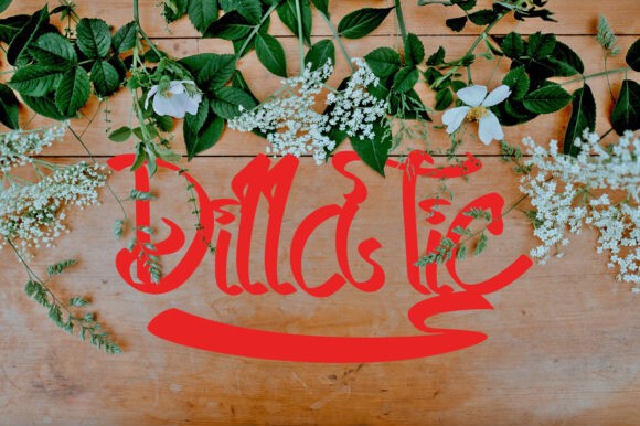 Dilla Tic Font preview