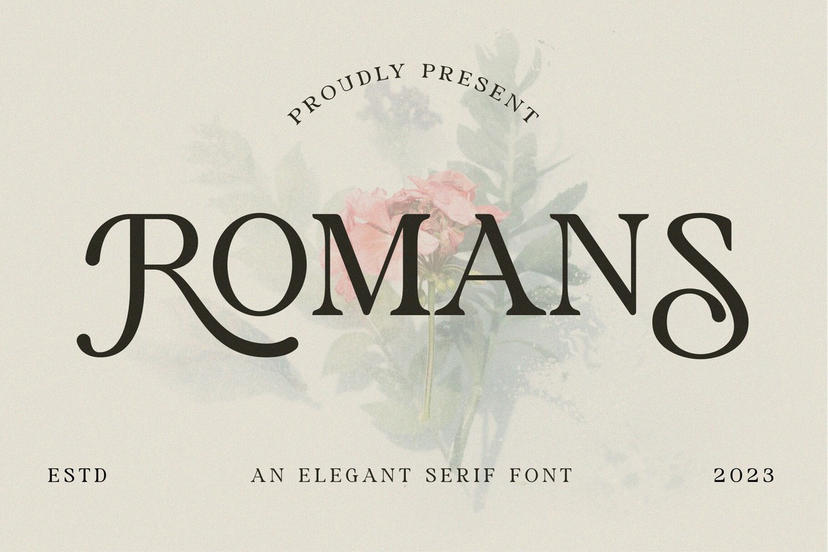 Romans Regular Font preview