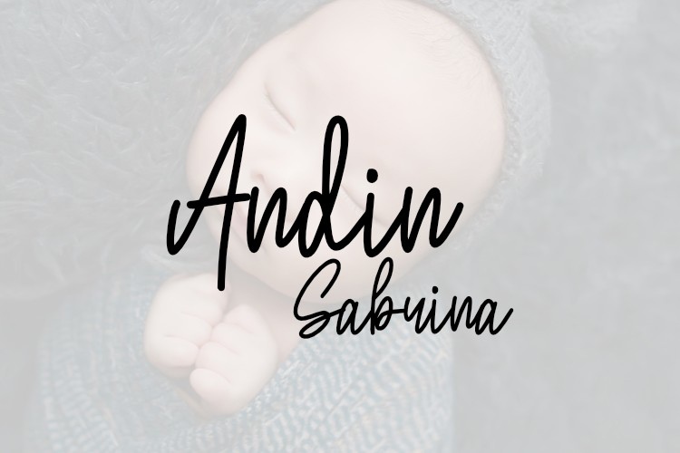 Andin Sabrina Font preview