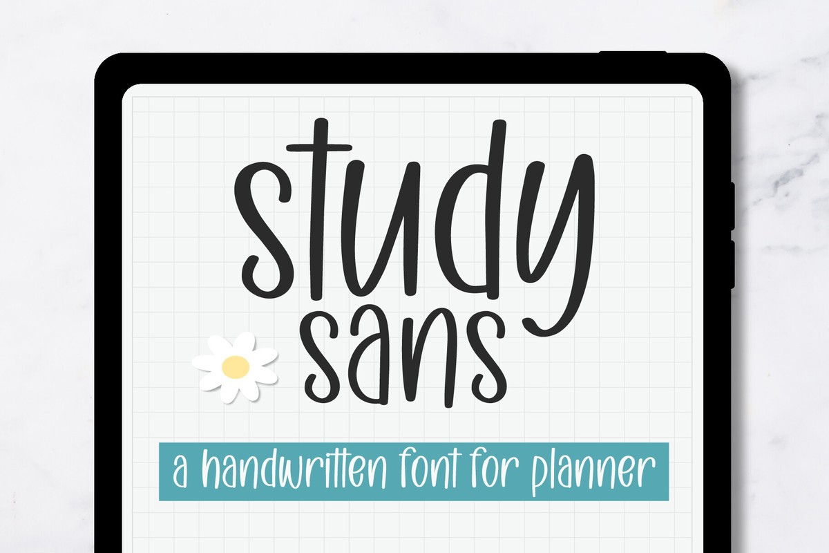 Study Sans Font preview