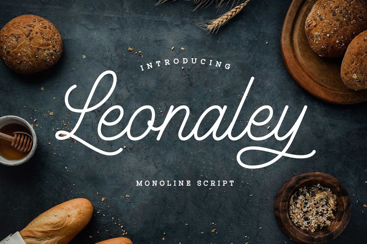 Leonaley Regular Font preview