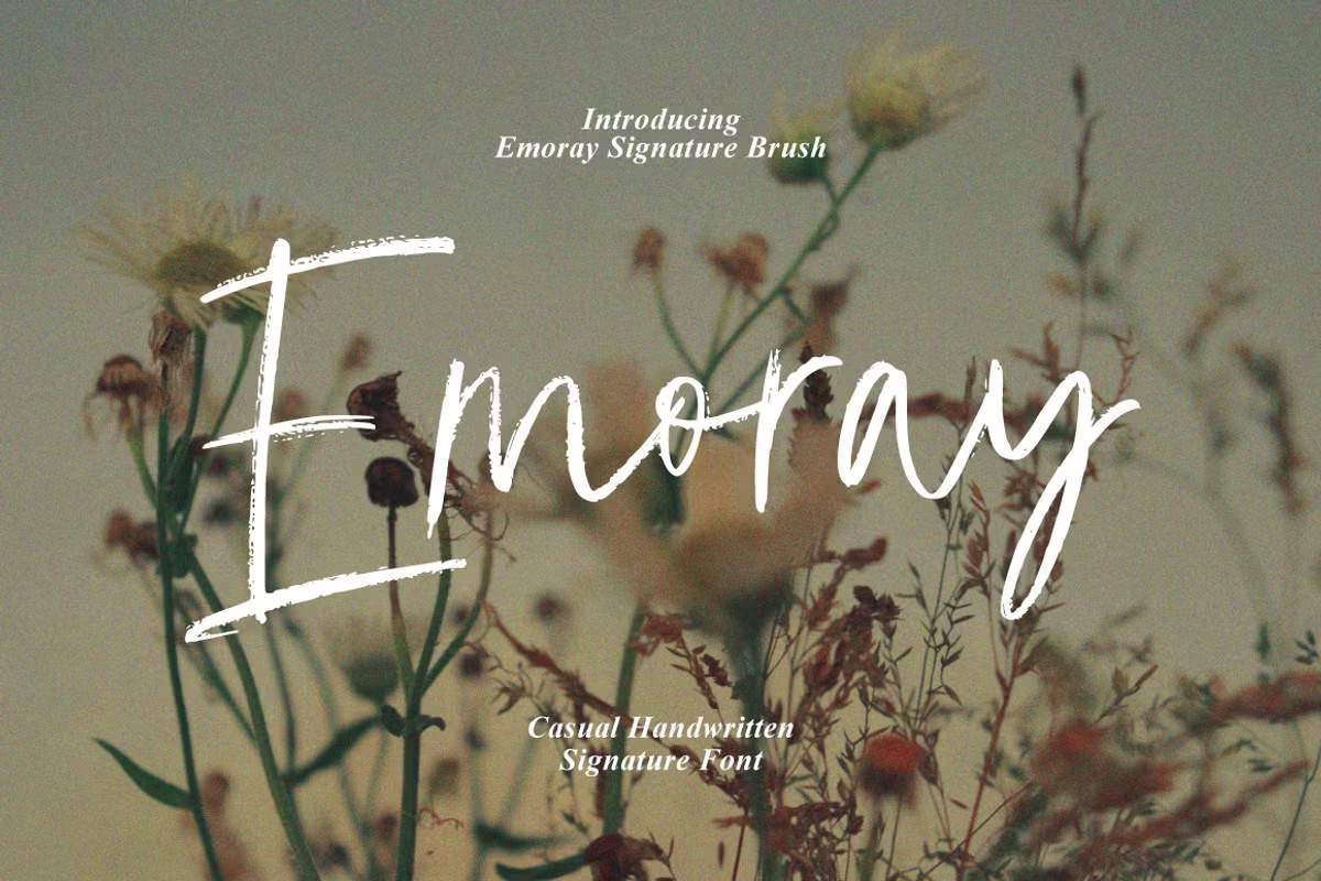 Emoray Signature Brush Font preview