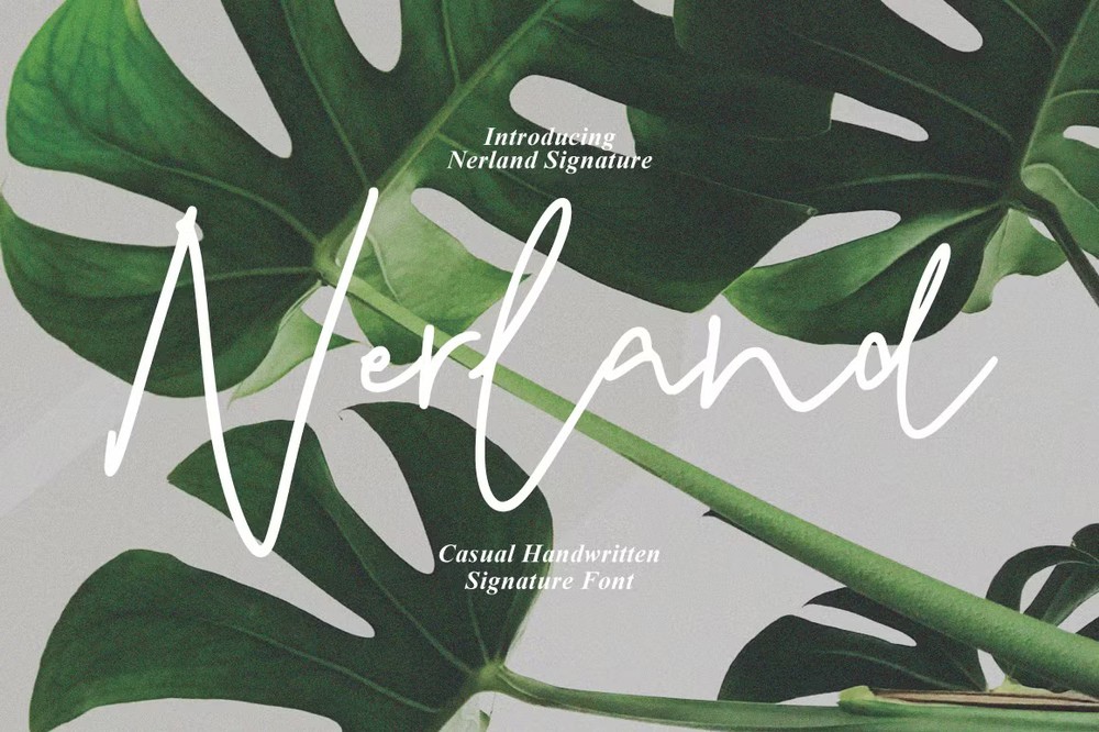 Nerland Signature Font preview