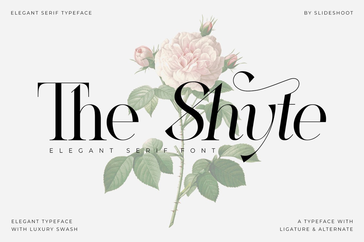 The Shyte Italic Font preview