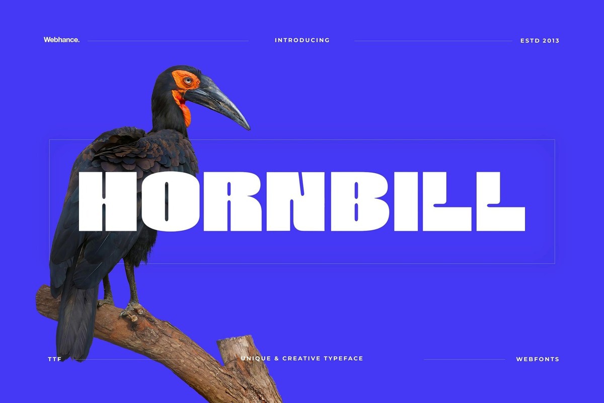 Hornbill Display Bold Font preview