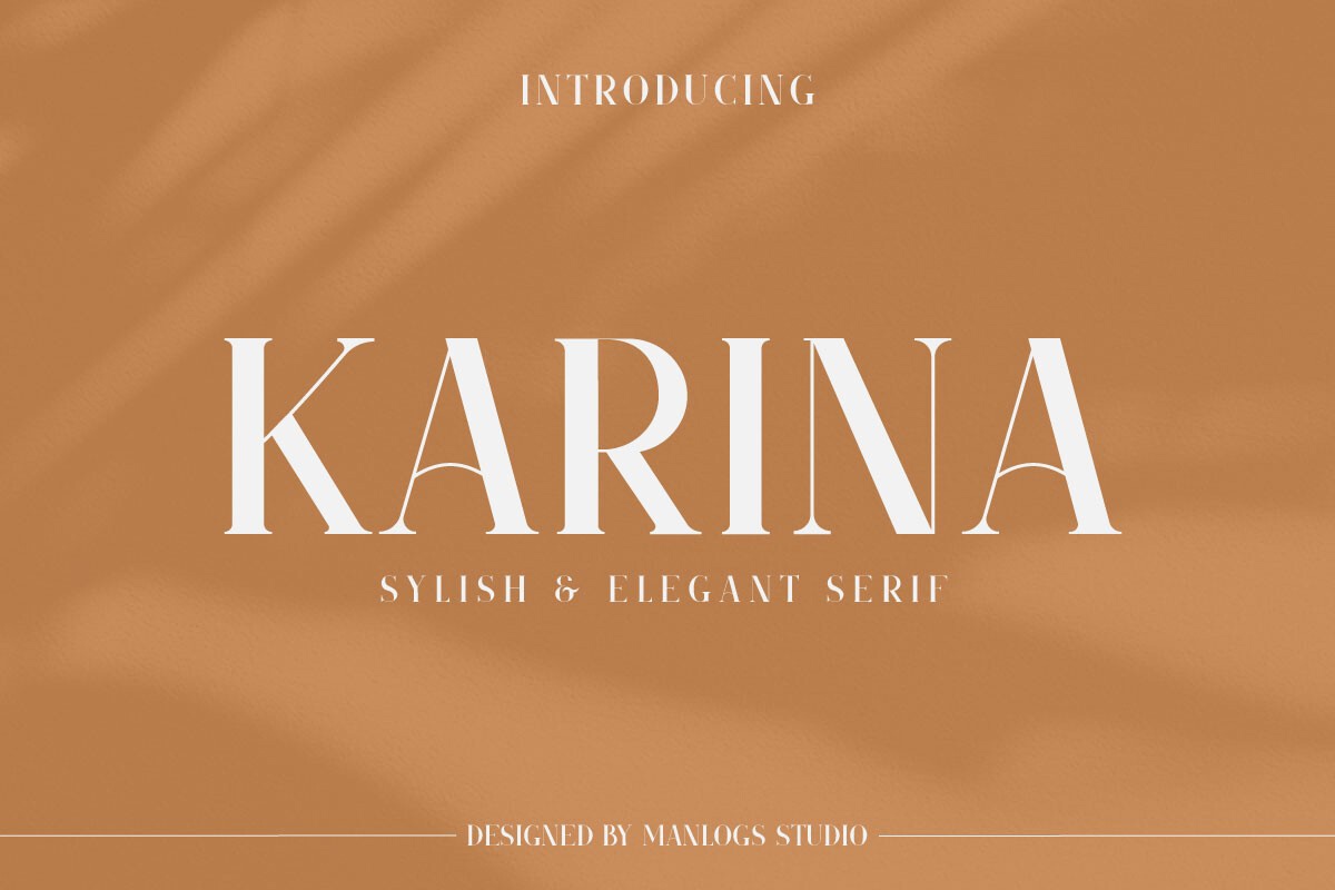 Karina Regular Font preview