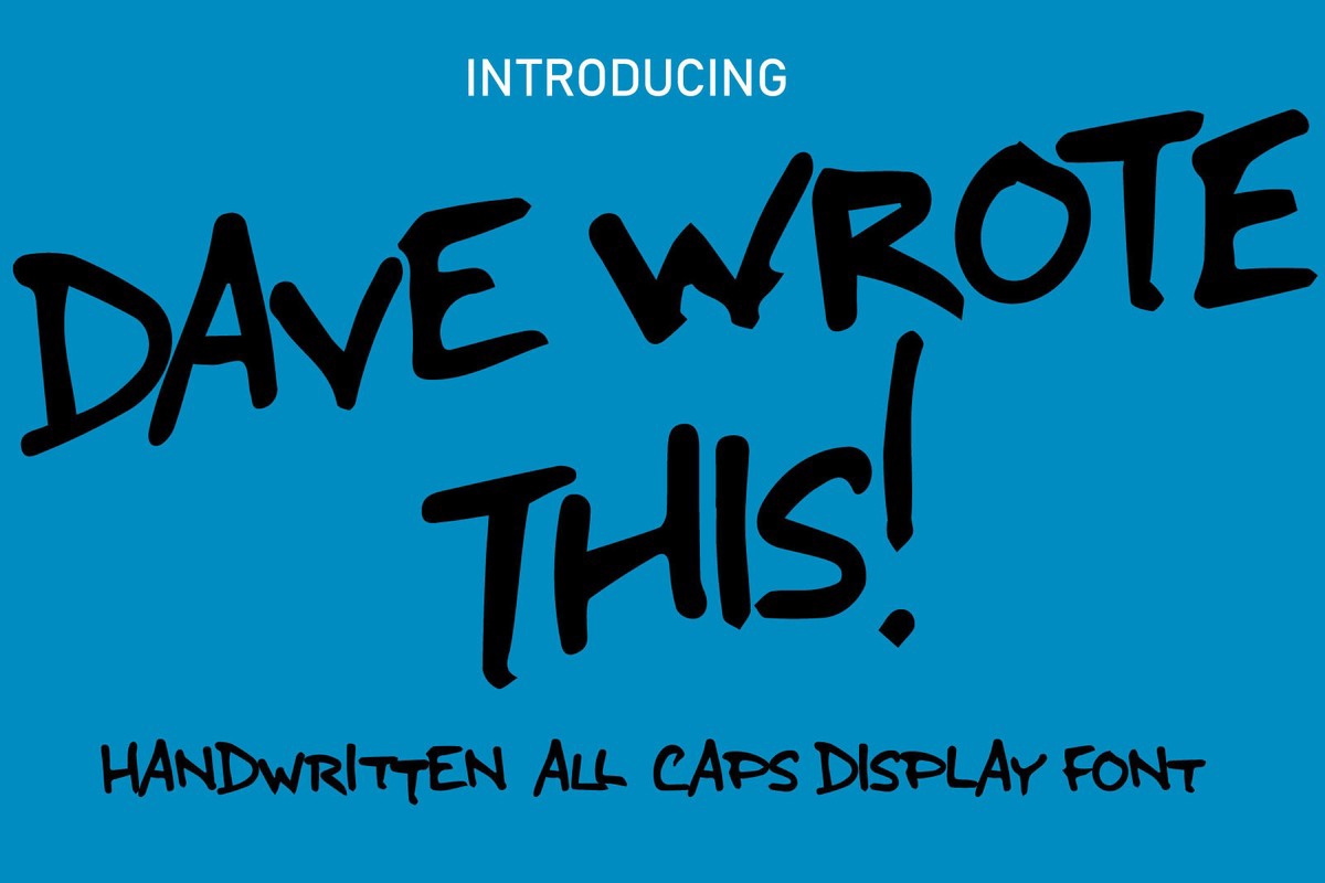 Dave Wrote This Font preview