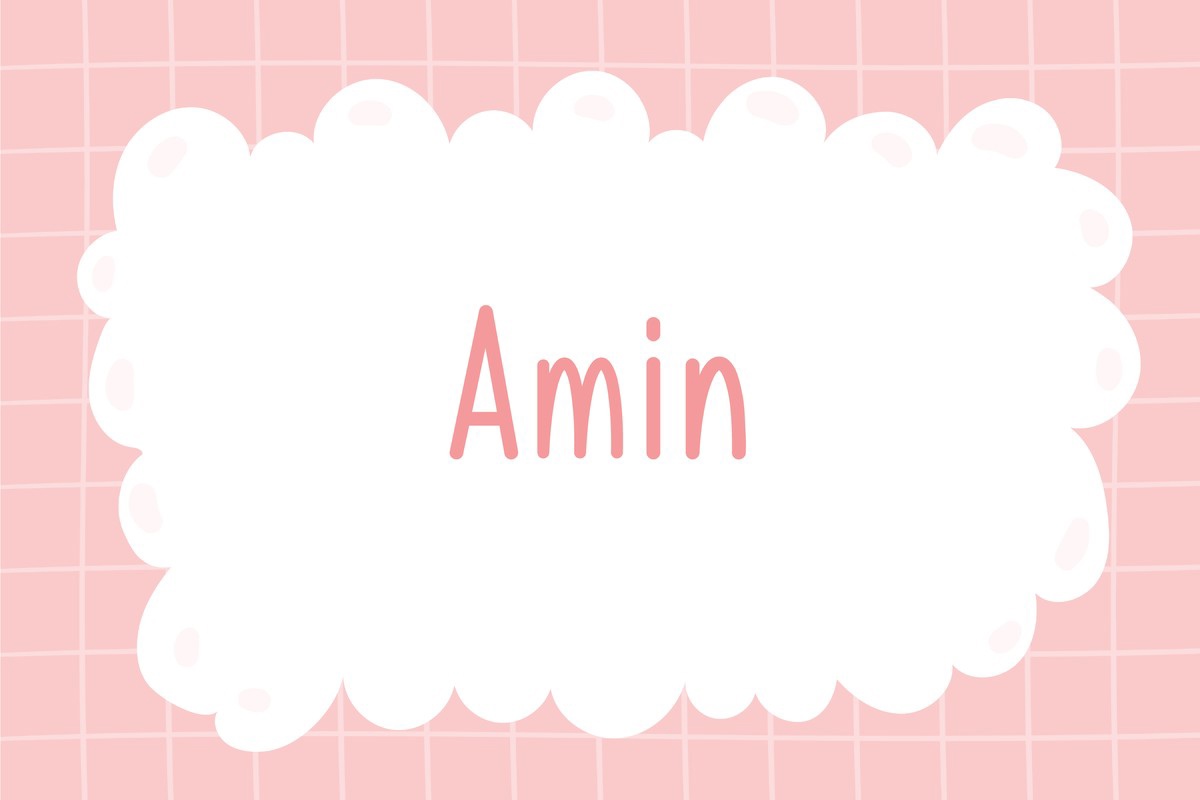 Amin Regular Font preview