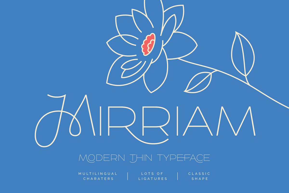 Mirriam Regular Font preview