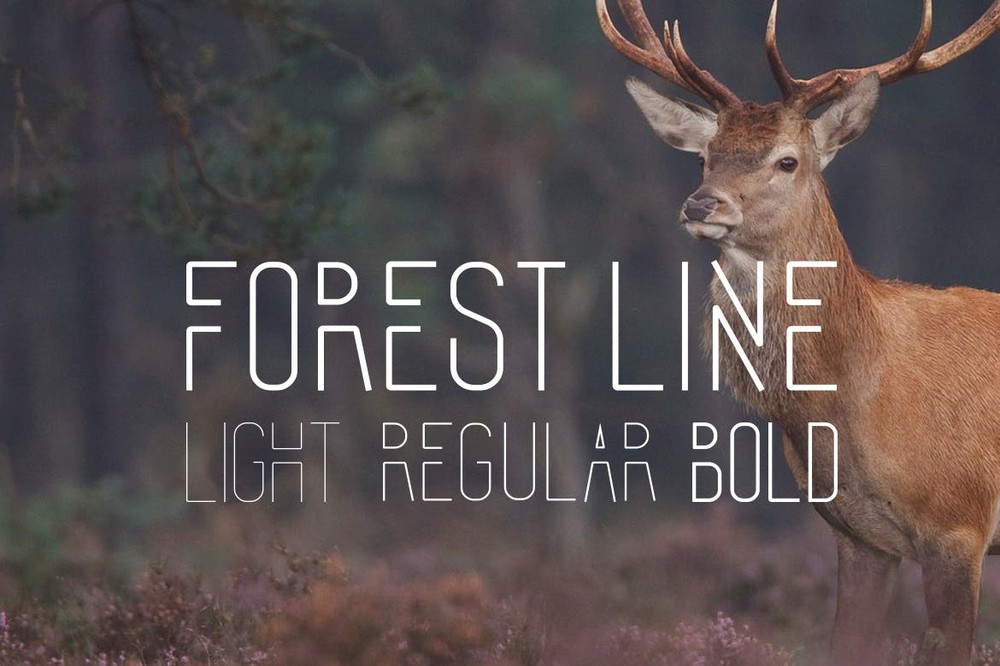 Forest Line Bold Font preview