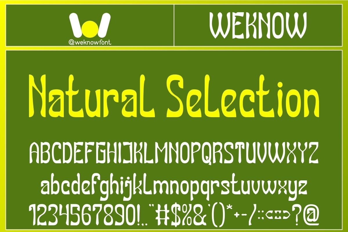 Natural Selection Regular Font preview