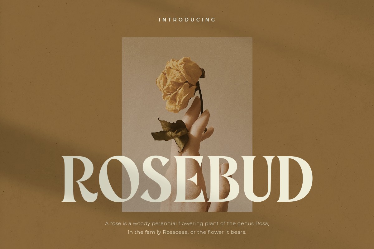 Rosebud Regular Font preview