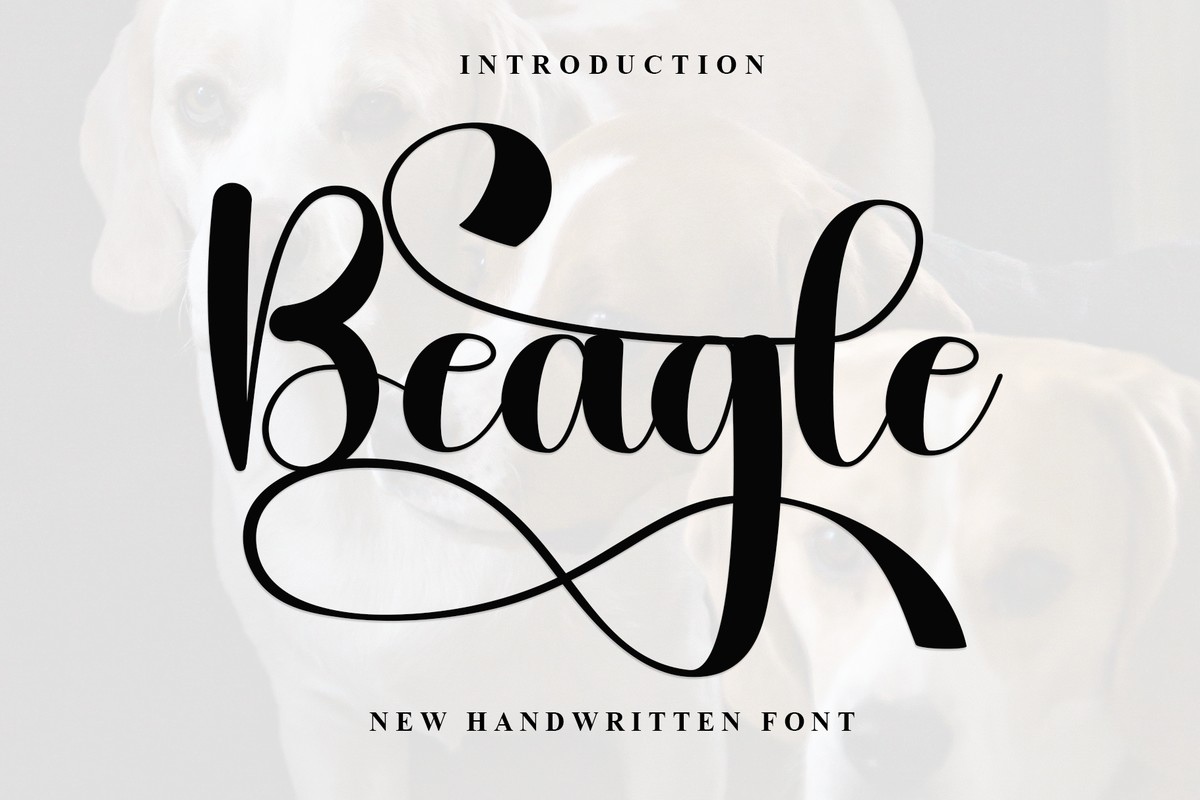 Beagle Regular Font preview