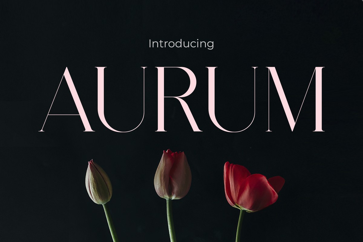 Aurum Regular Font preview