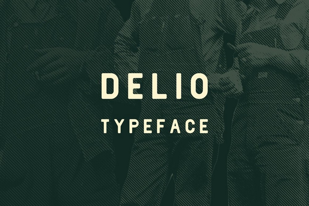 Delio Regular Font preview