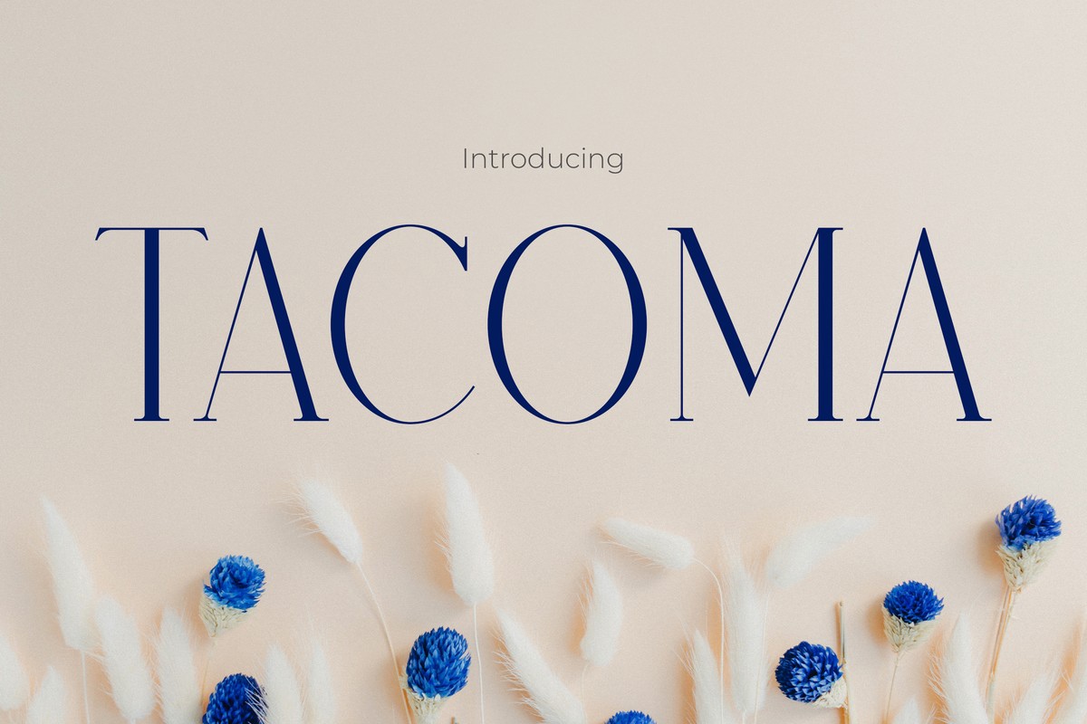 Tacoma Regular Font preview