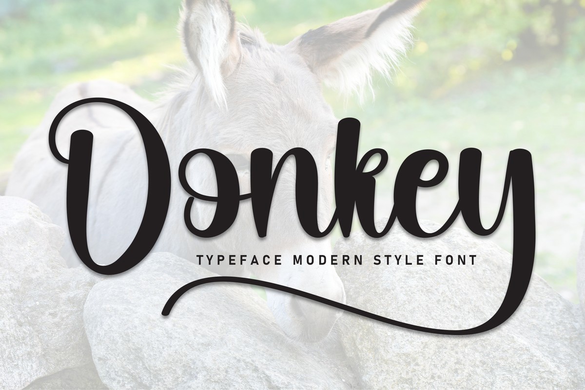 Donkey Regular Font preview