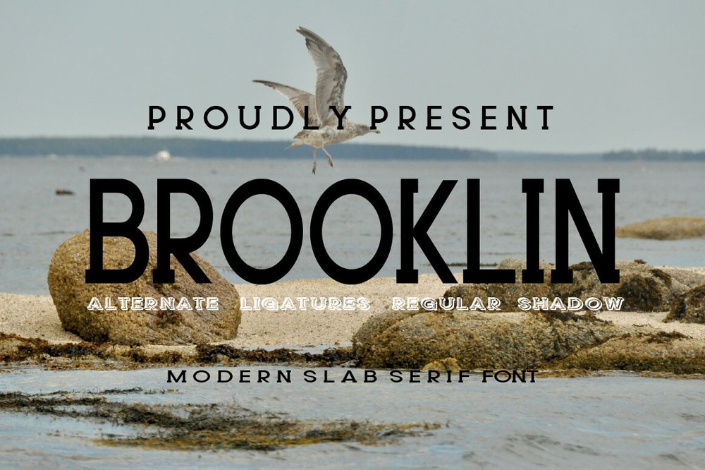 Brooklin Regular Font preview