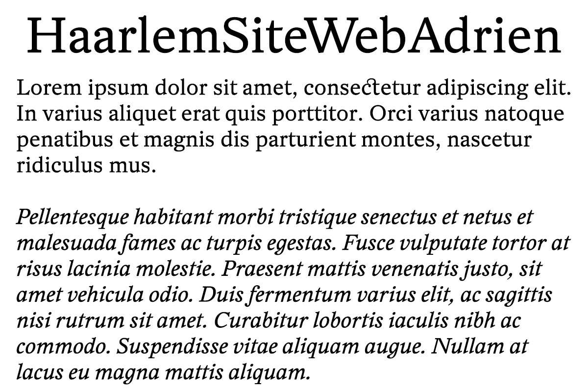 HaarlemSiteWebAdrien Regular Font preview