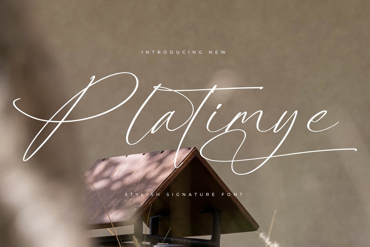 Platimye Font preview