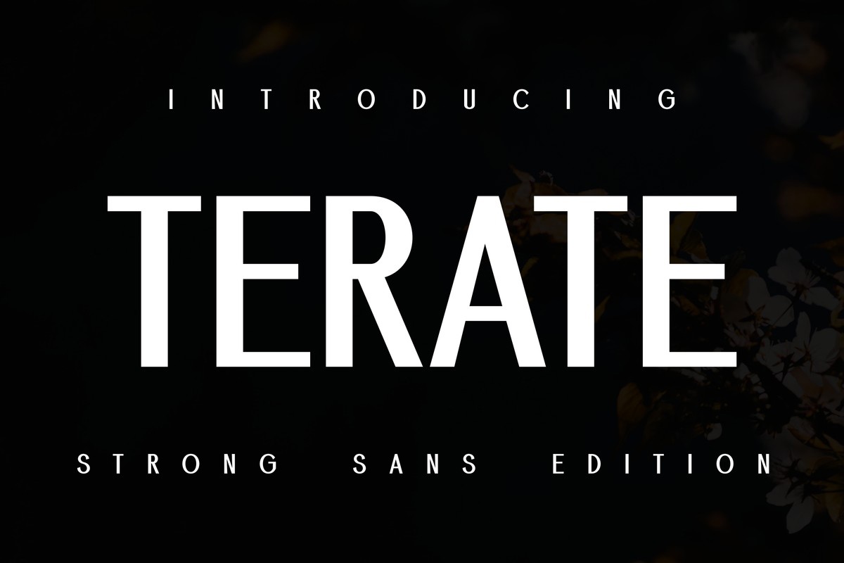 Demore Terate Font preview