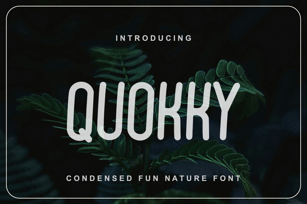 Quokky Font preview