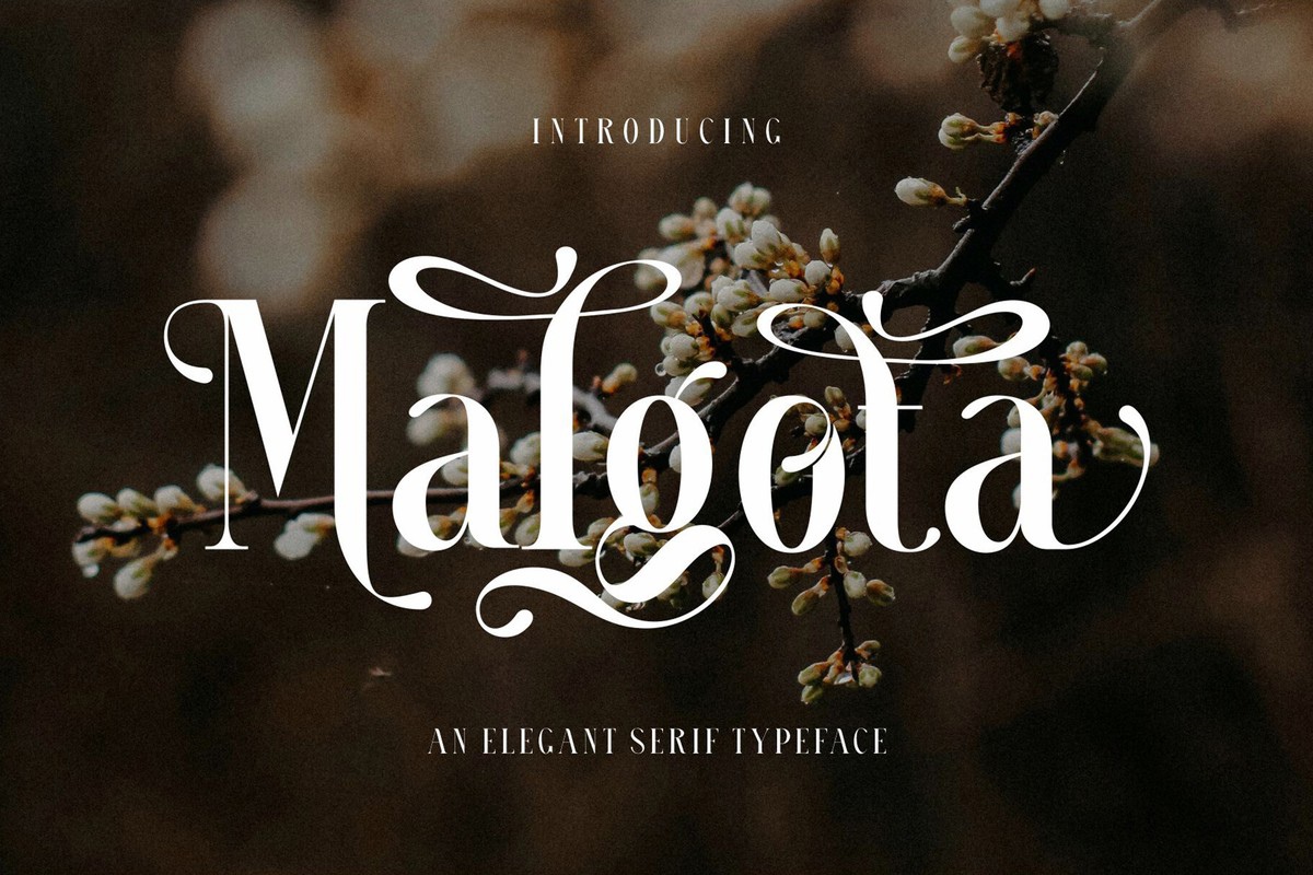 Malgota Regular Font preview