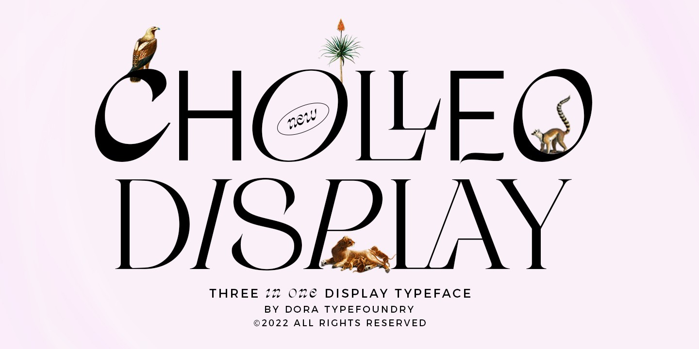 Cholleo Font preview