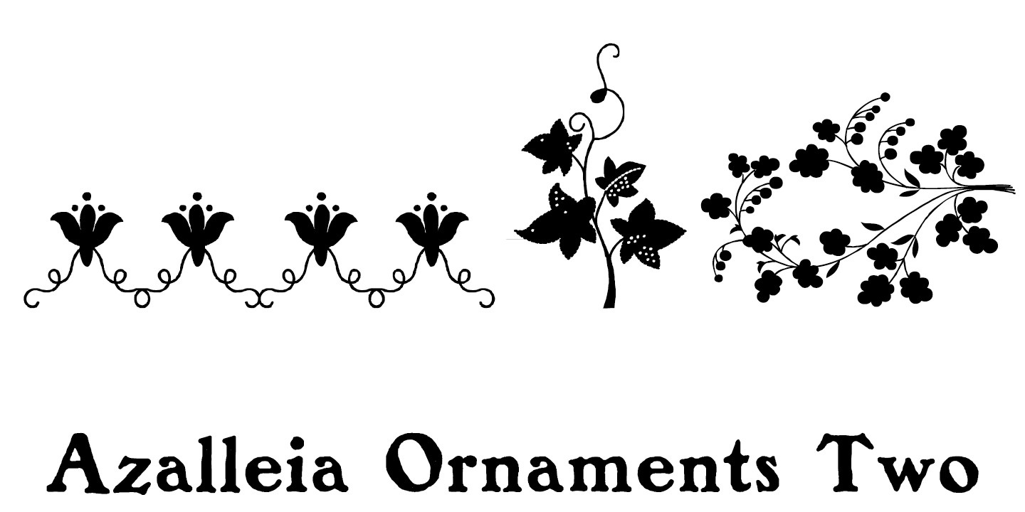 Azalleia Ornaments Two Font preview