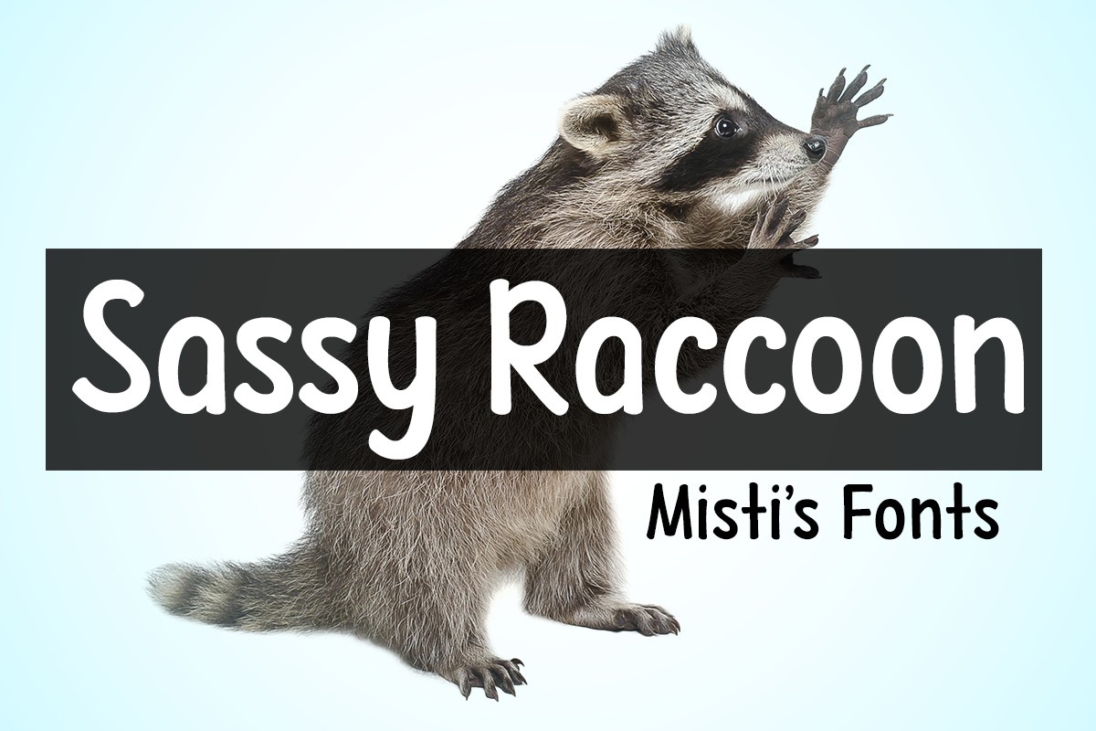 Sassy Raccoon Regular Font preview