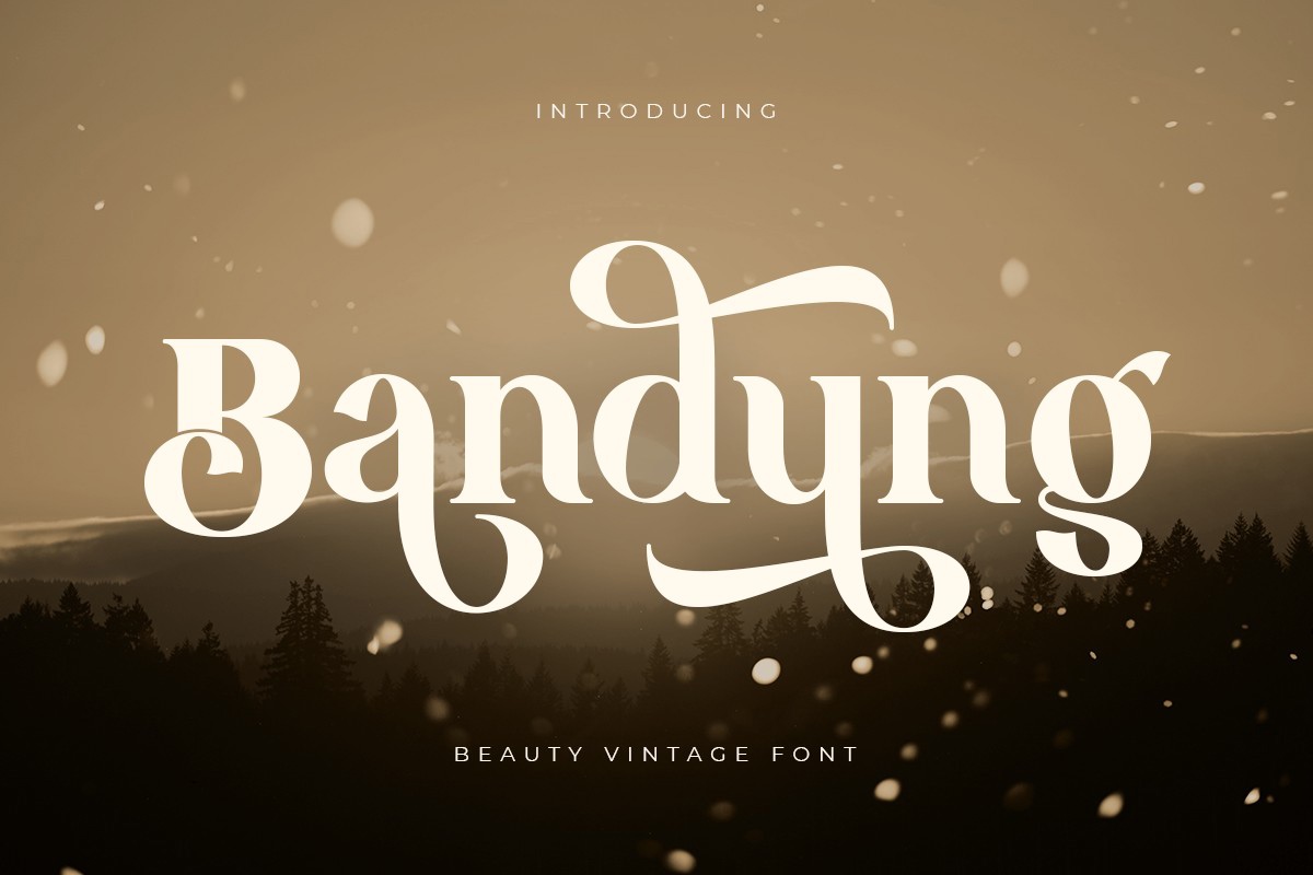 Bandung Regular Font preview