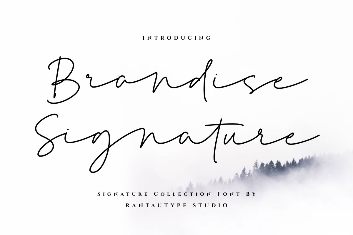 Brandise Signature Font preview