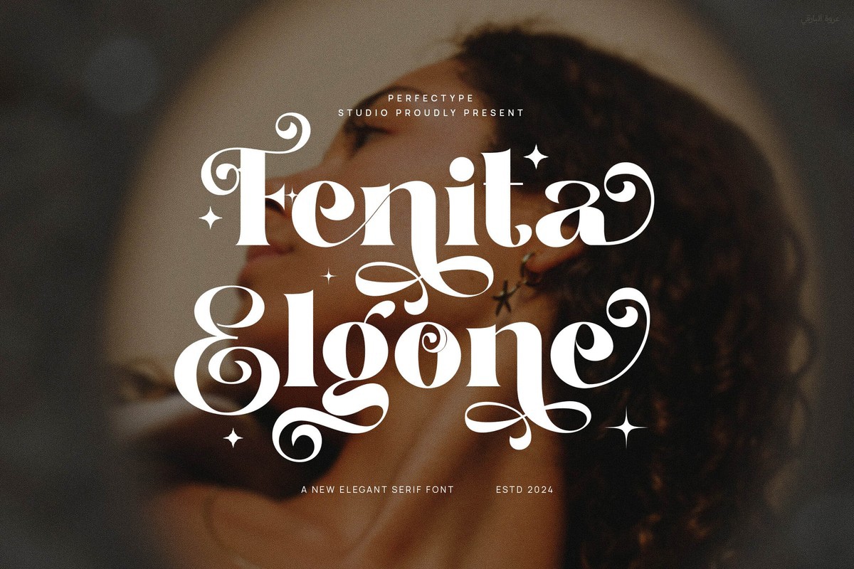 Fenita Elgone Font preview