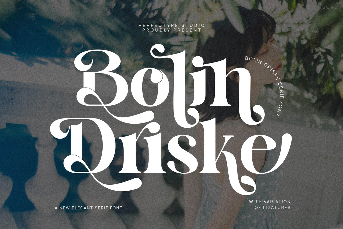 Bolin Driske Font preview