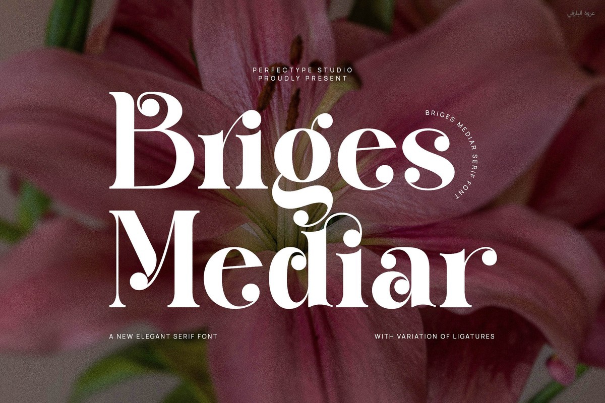 Briges Mediar Font preview