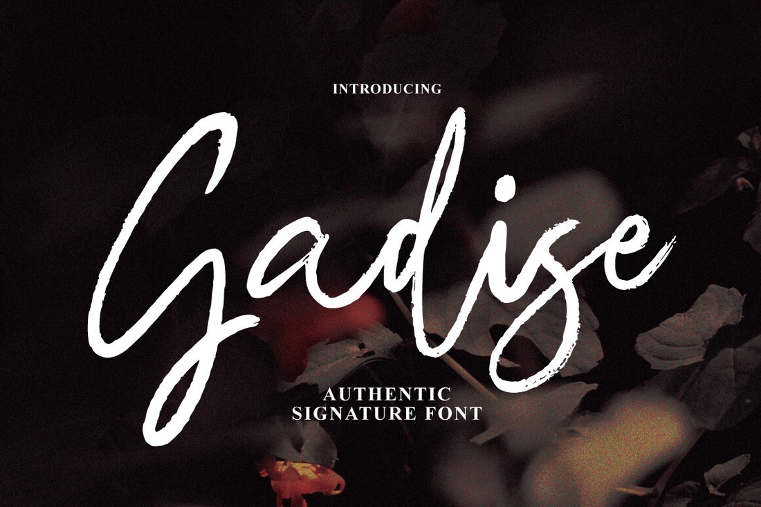 Gadise Signature Brush Font preview