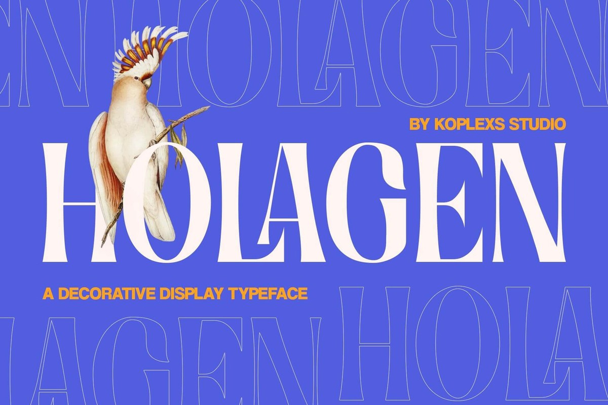 Holagen Regular Font preview