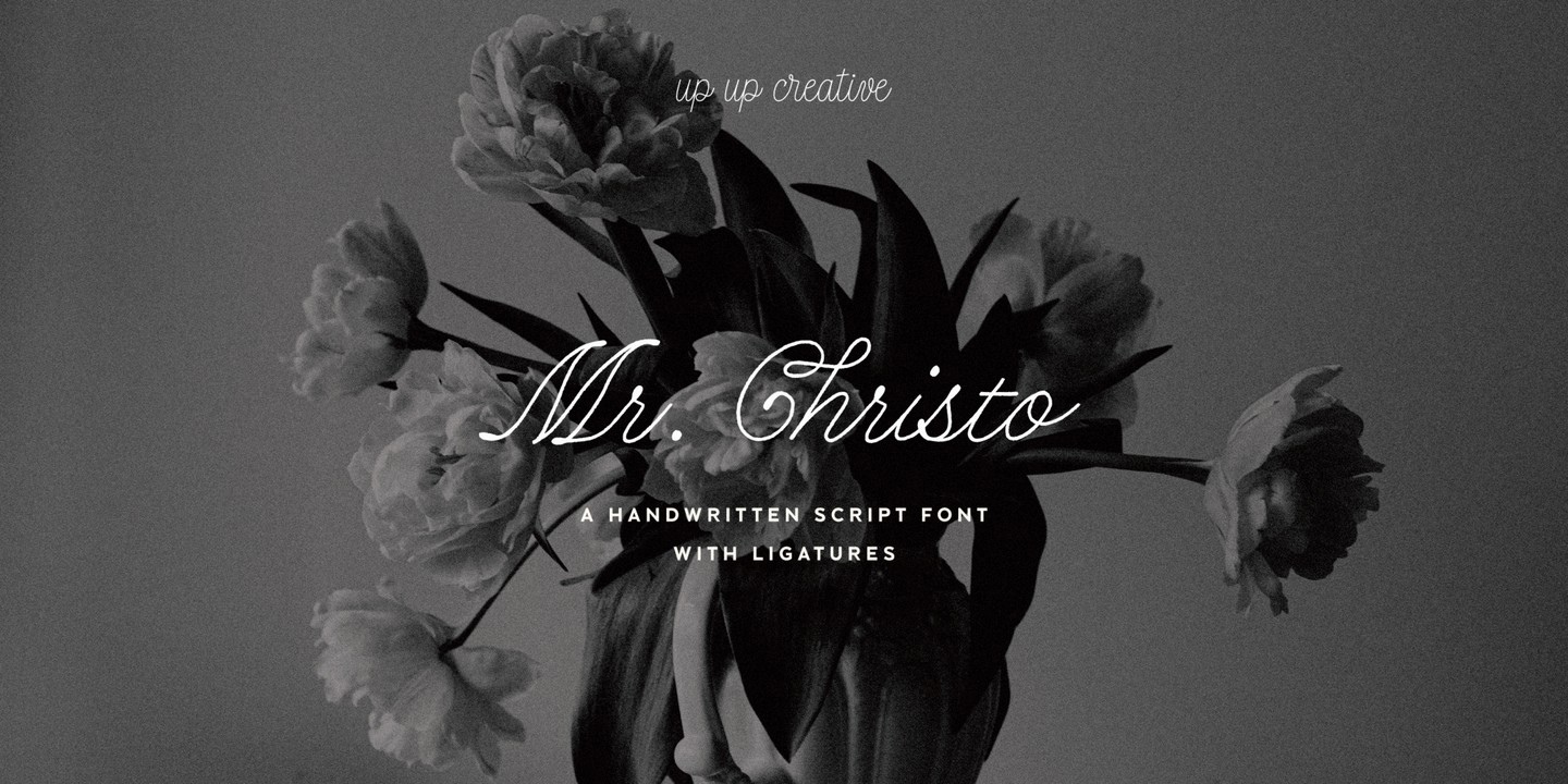 Mr Christo Font preview