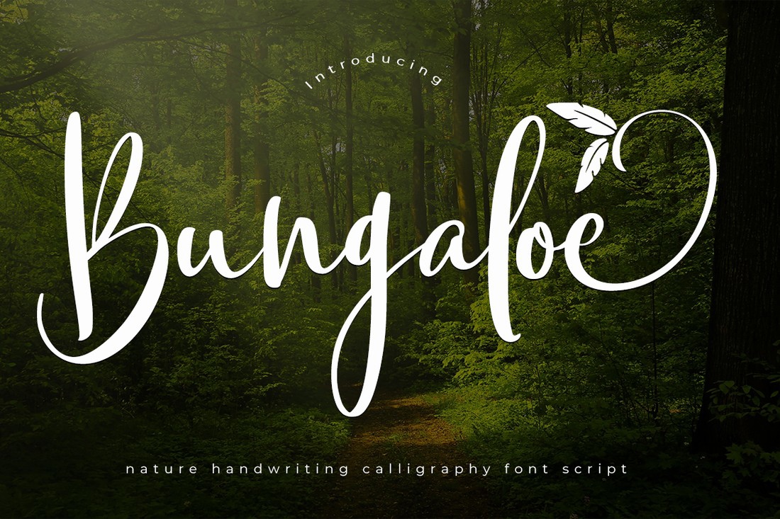 Bungaloe Font preview