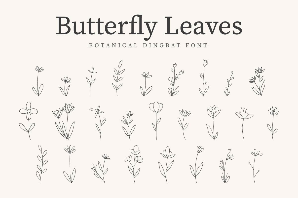 Butterfly Leave Font preview