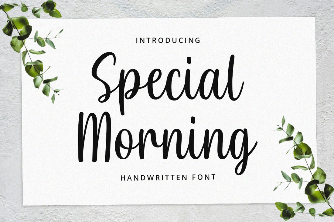 Special Morning Regular Font preview