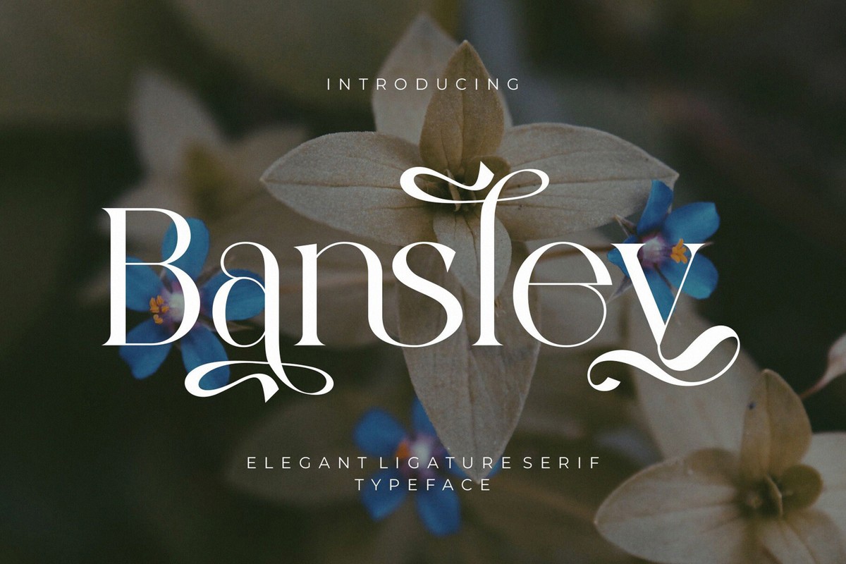 Bansley Font preview