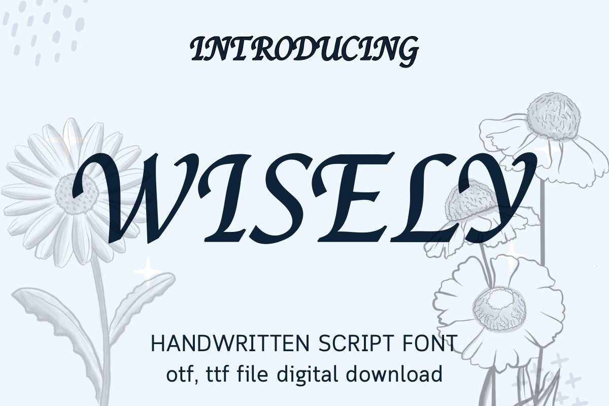 Wisely Font preview