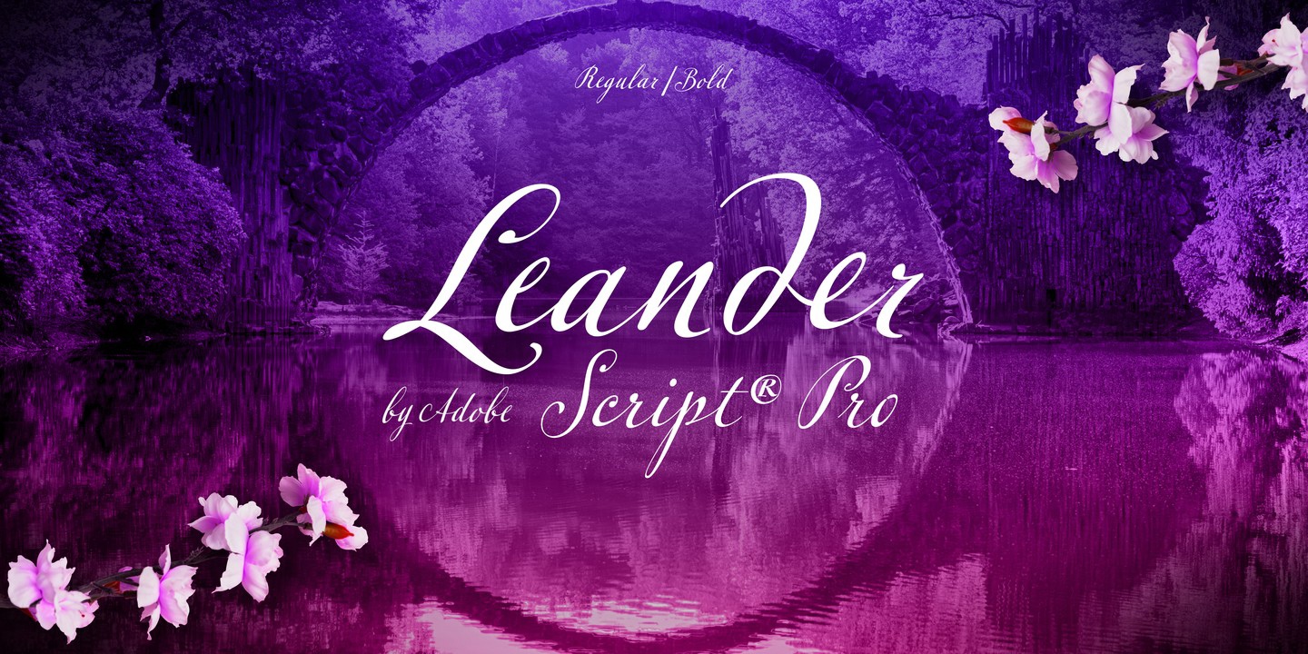 Leander Script Pro Font preview