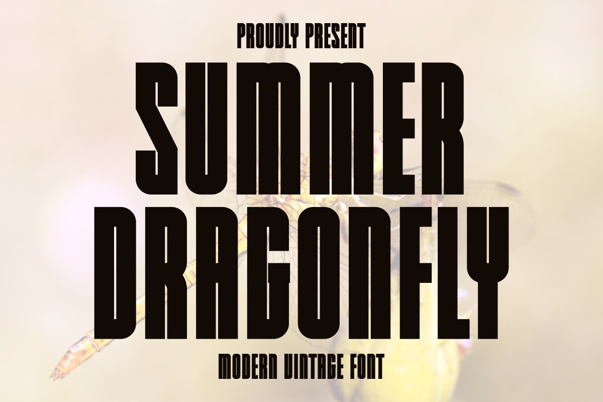 Summer Dragonfly Font preview