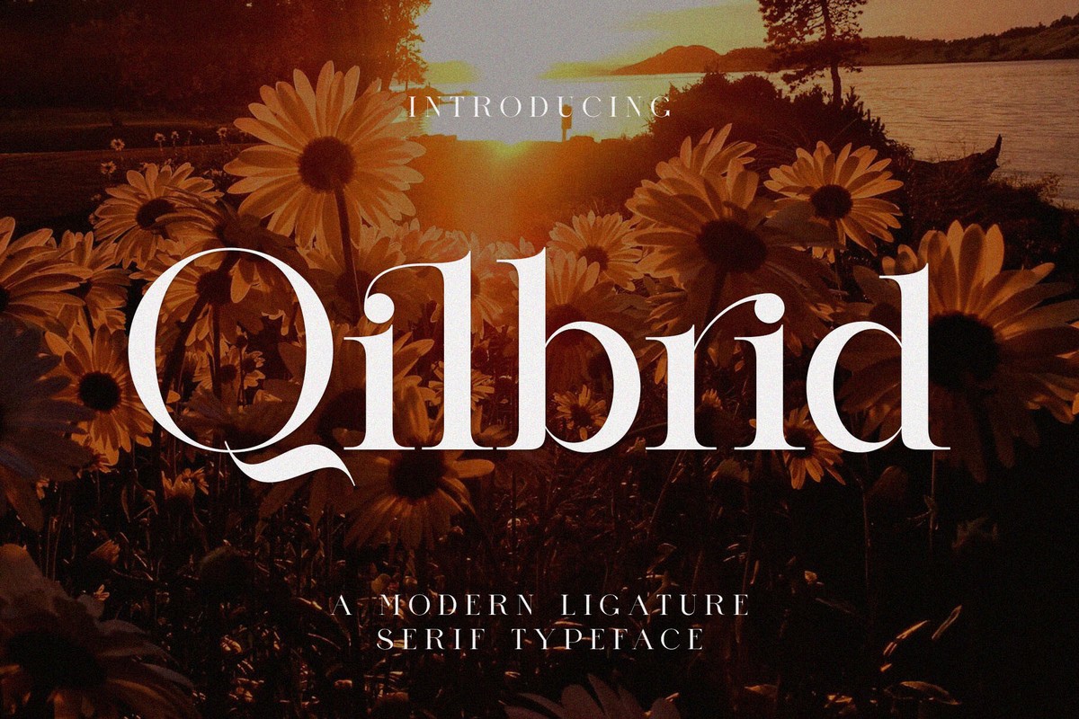 Qilbrid Font preview