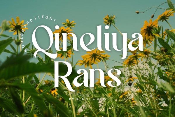 Qineliya Rans Font preview