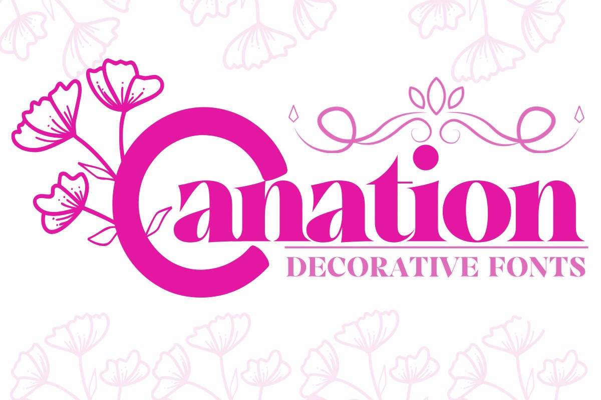 Carnation Font preview