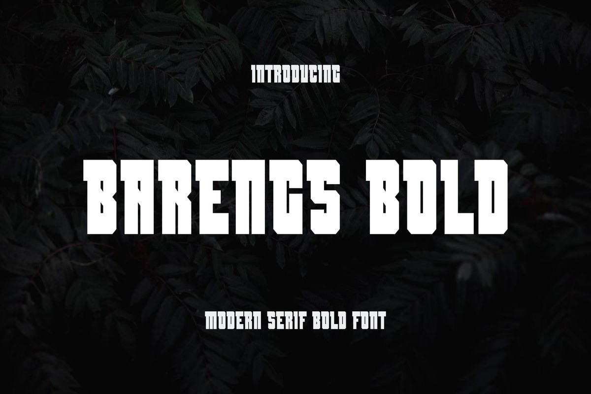 Barengs Font preview